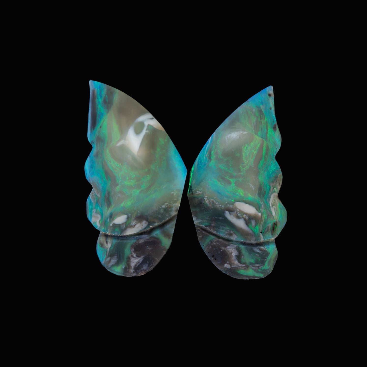 Opal butterfly wings on a black background