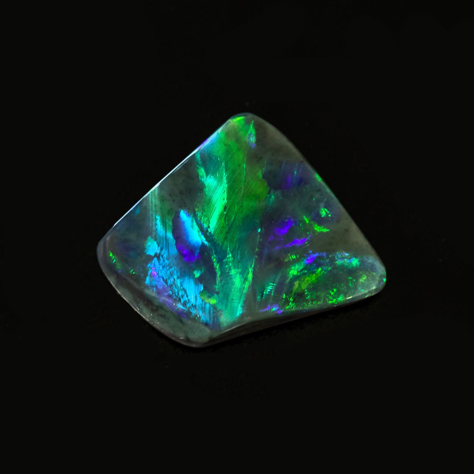 Freeform black opal named Ocean Stingray with vivid blue and green flashes