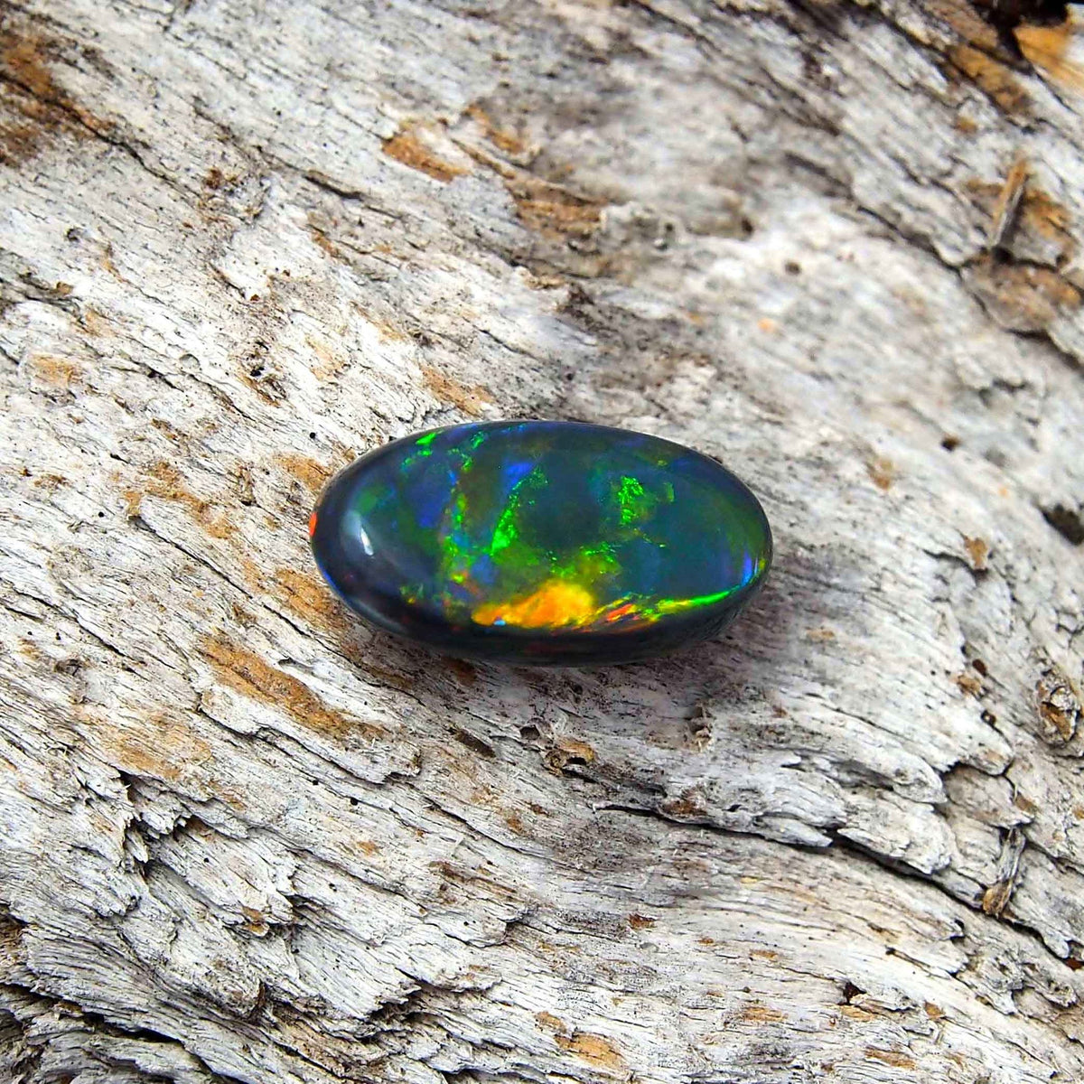 The Virgin Rainbow Black Rainbow Opal Black Rainbow Opal Hotsell