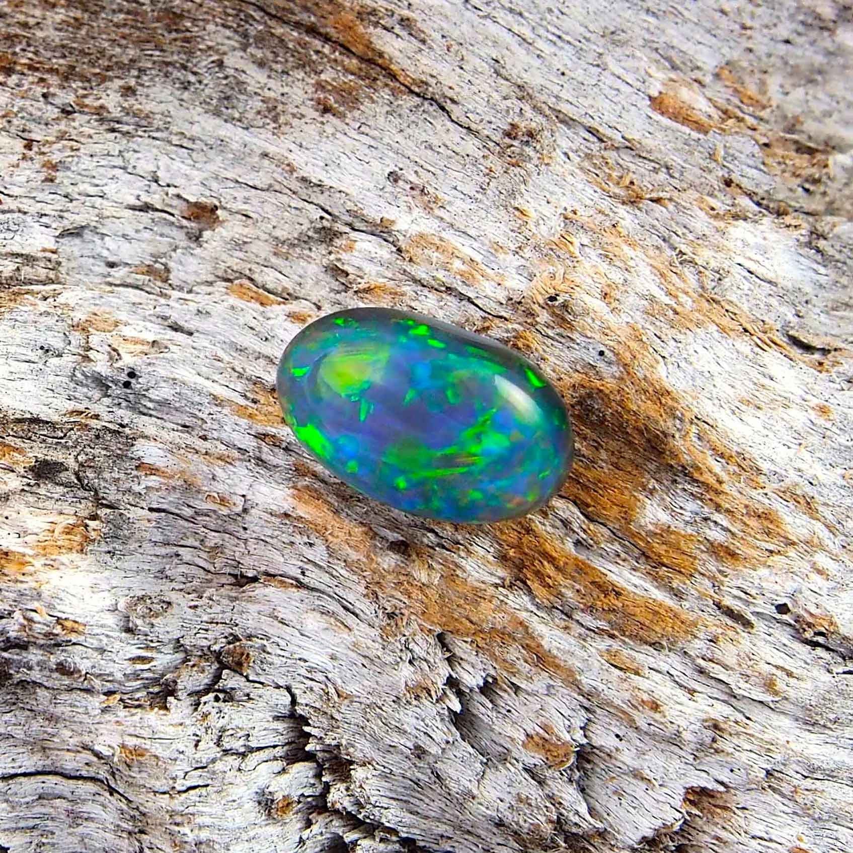 Colourful floral patterned oval Lightning Ridge solid semi-black opal with blue body tone and green and orange highlights, ideal for a ring or necklace pendant setting