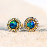 'Kayla' Gold Australian Doublet Opal Earrings - Black Star Opal