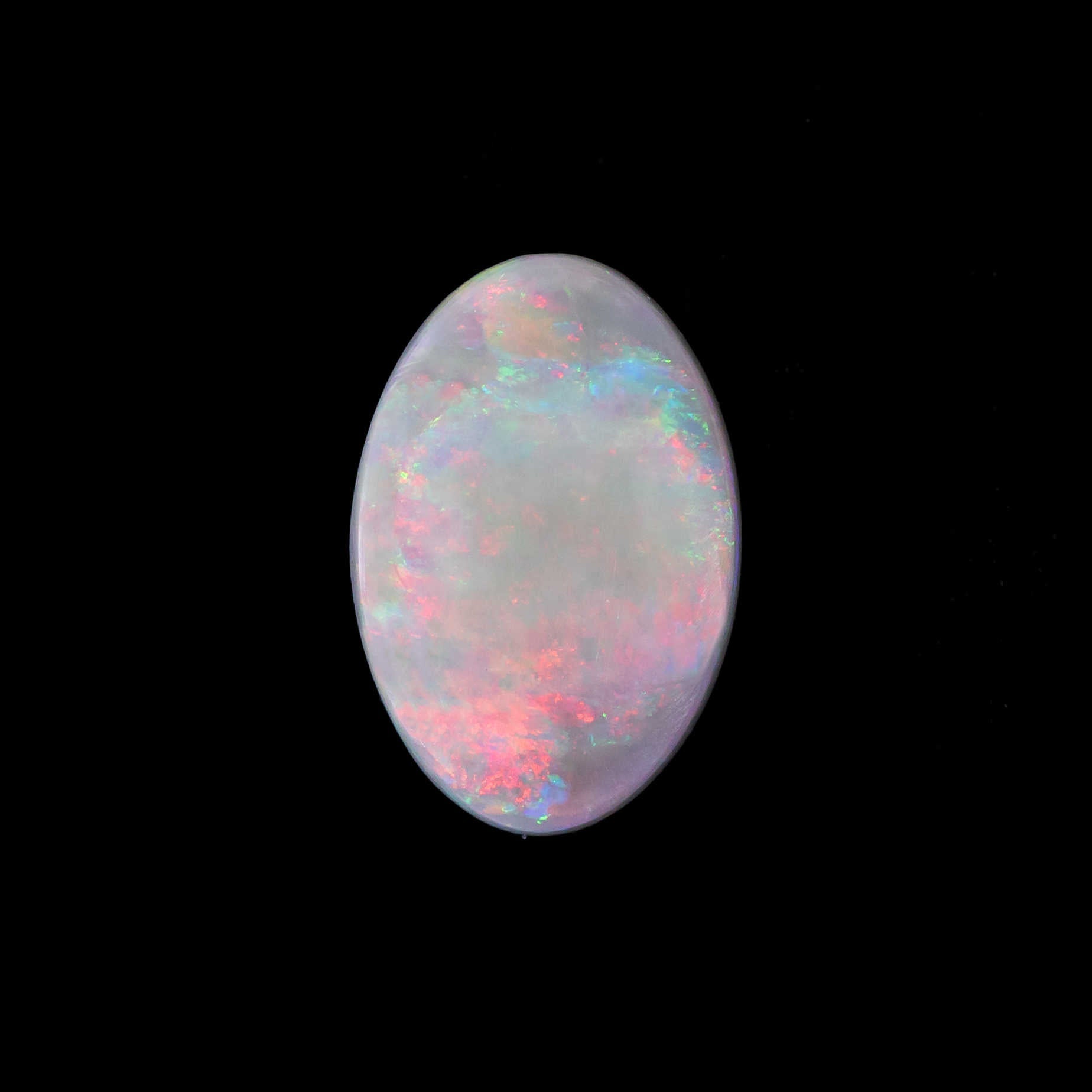 Oval-shaped semi-black opal from Lightning Ridge with vibrant rainbow flashes